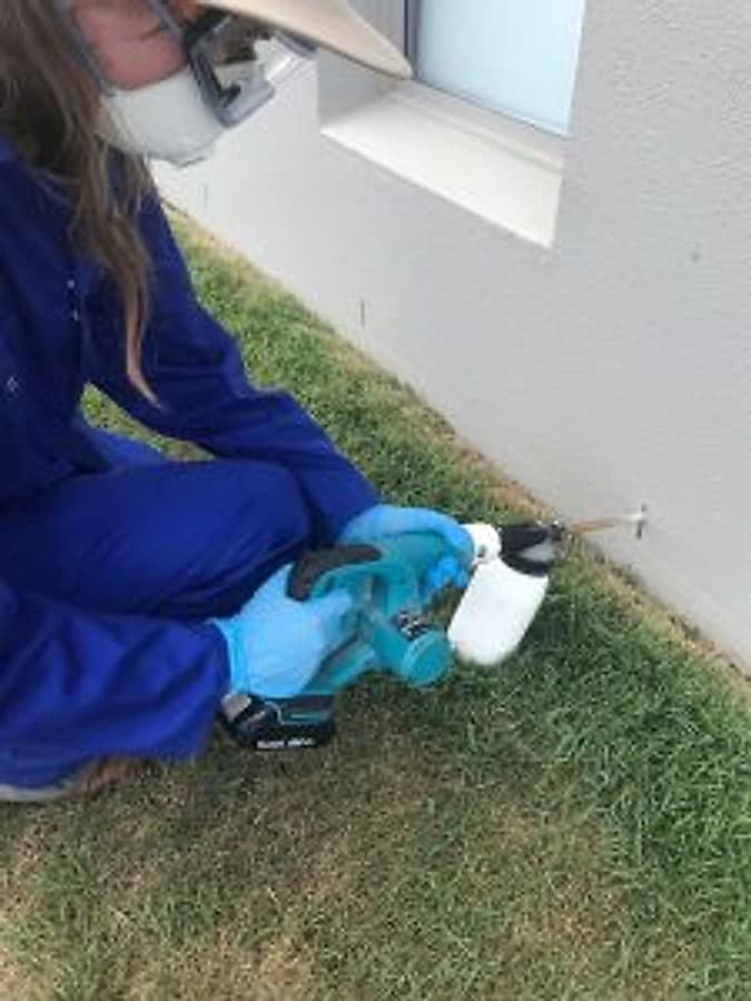 Bruin technician treating the exterior of a North Brisbane home