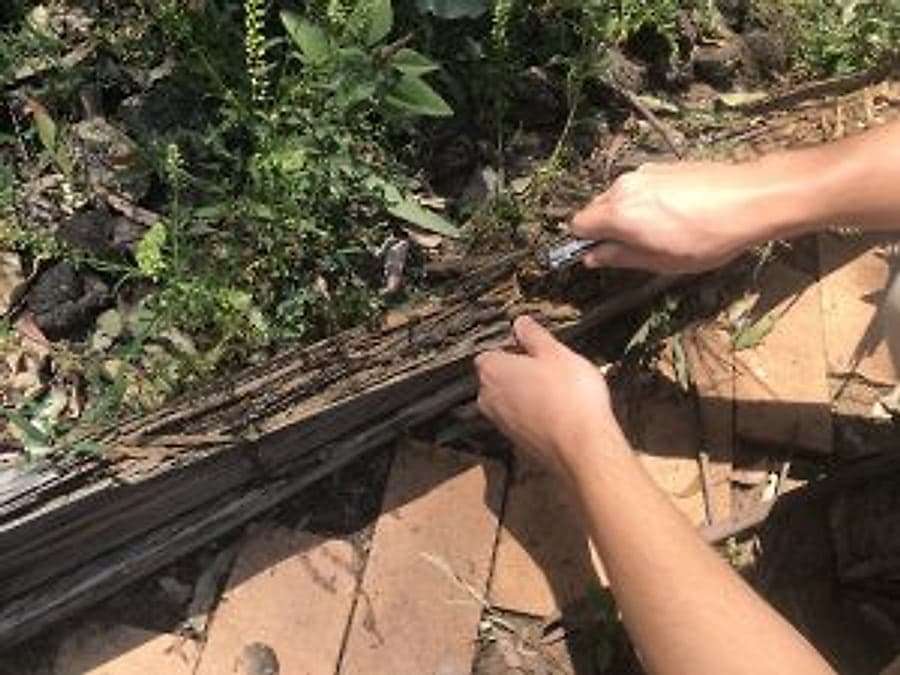 Subterranean termites found inside a timber sleeper during an inspection